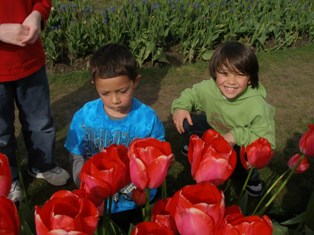 Asher and Caleb in the Tulips 2010